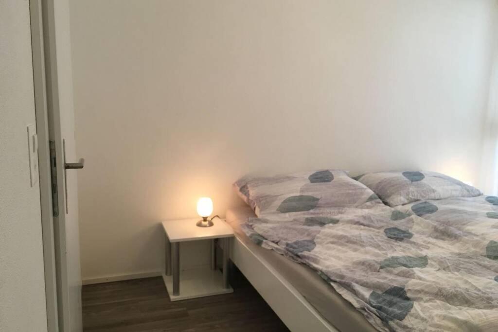 Modern Apartment 모던 펜션 Interlaken Exterior foto